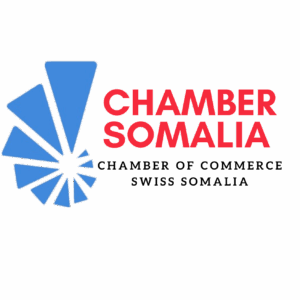 ccissomaliaa logo detoure.png